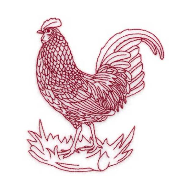 Picture of Redwork Rooster Nest Machine Embroidery Design