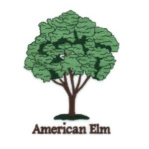 Picture of American Elm Machine Embroidery Design