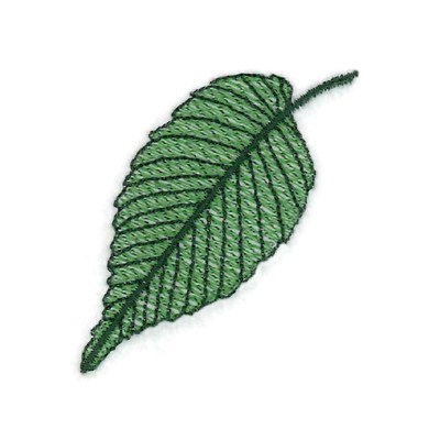 American Elm Leaf Machine Embroidery Design