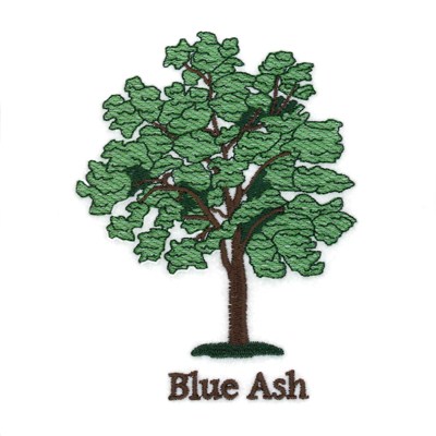 Blue Ash Machine Embroidery Design
