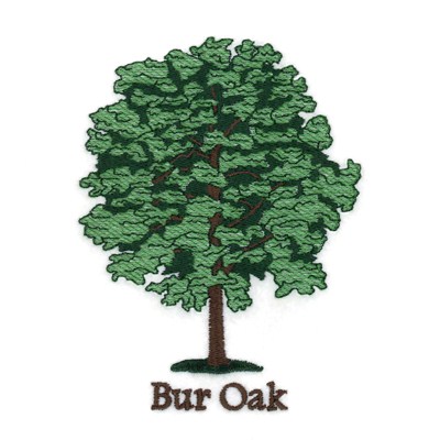 Bur Oak Machine Embroidery Design