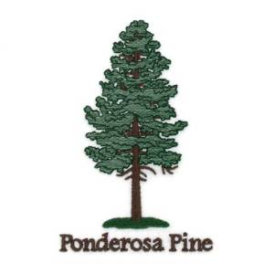 Picture of Ponderosa Pine Machine Embroidery Design