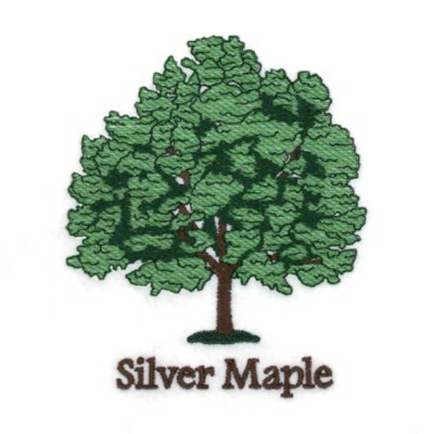 Picture of Silver Maple Machine Embroidery Design