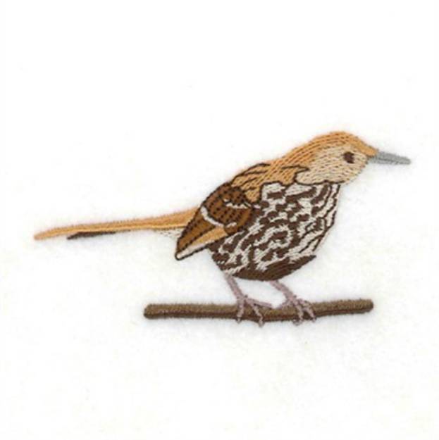 Picture of Brown Thrasher Machine Embroidery Design