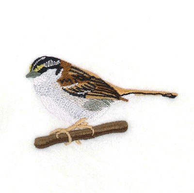 White Throated Sparrow Machine Embroidery Design