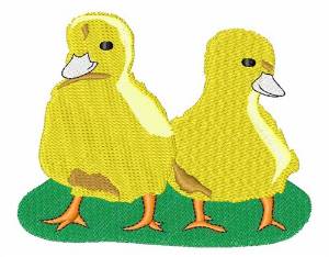 Picture of Yellow Chicks Machine Embroidery Design