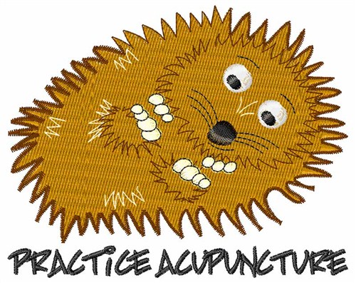 Practice Acupuncture Machine Embroidery Design