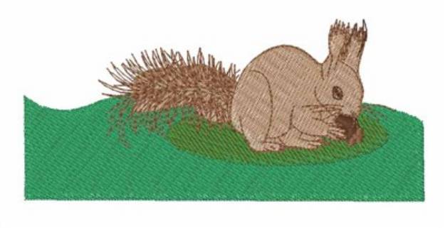 Picture of Squirrel Nut Machine Embroidery Design