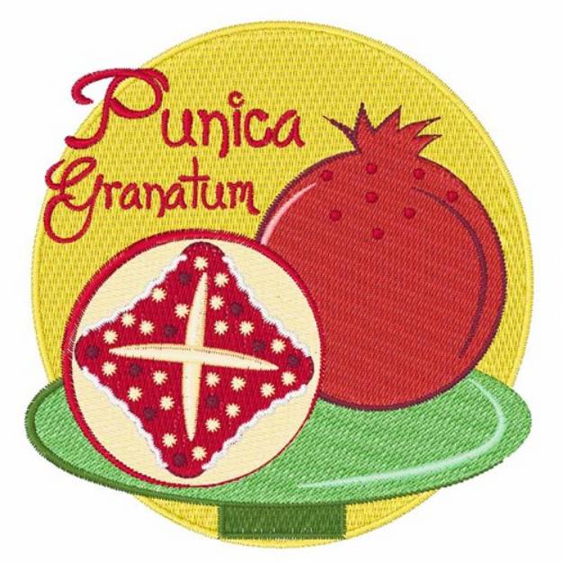 Picture of Punica Granatum Machine Embroidery Design
