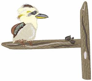 Picture of Kookaburra Bird Machine Embroidery Design