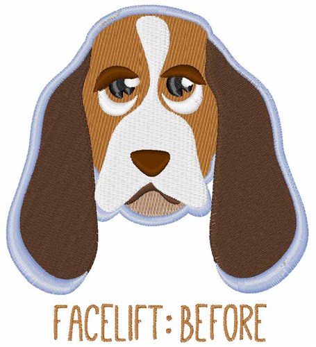 Facelift Before Machine Embroidery Design