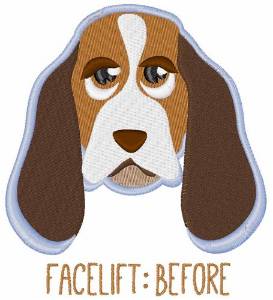 Picture of Facelift Before Machine Embroidery Design