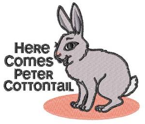 Picture of Peter Cottontail Machine Embroidery Design