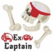 Picture of Ex Captain Machine Embroidery Design