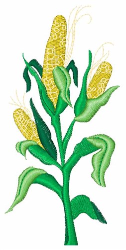 Corn Stalk Machine Embroidery Design
