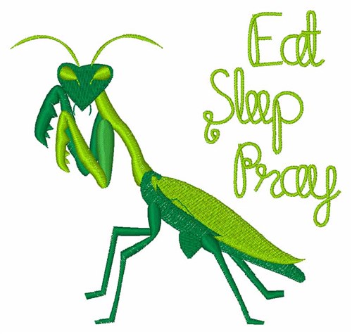 Eat Sleep Pray Machine Embroidery Design
