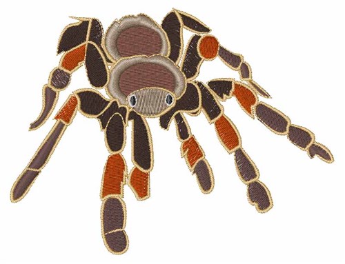 Tarantula Spider Machine Embroidery Design