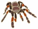Picture of Tarantula Spider Machine Embroidery Design