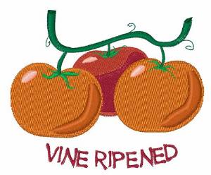 Picture of Vine Ripened Machine Embroidery Design