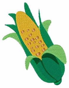 Picture of Ear Of Corn