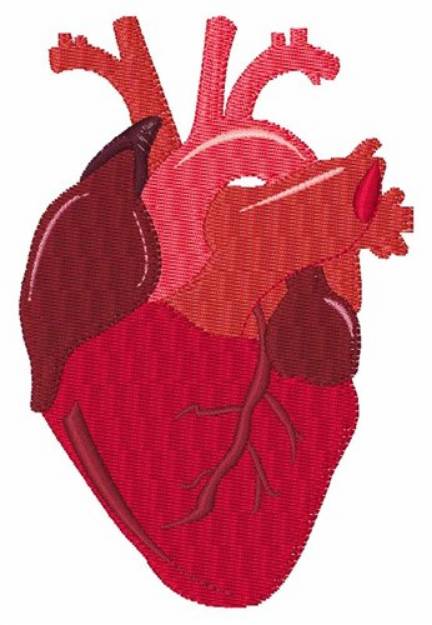 Picture of Human Heart Machine Embroidery Design