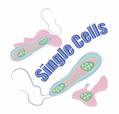 Single Cells Machine Embroidery Design