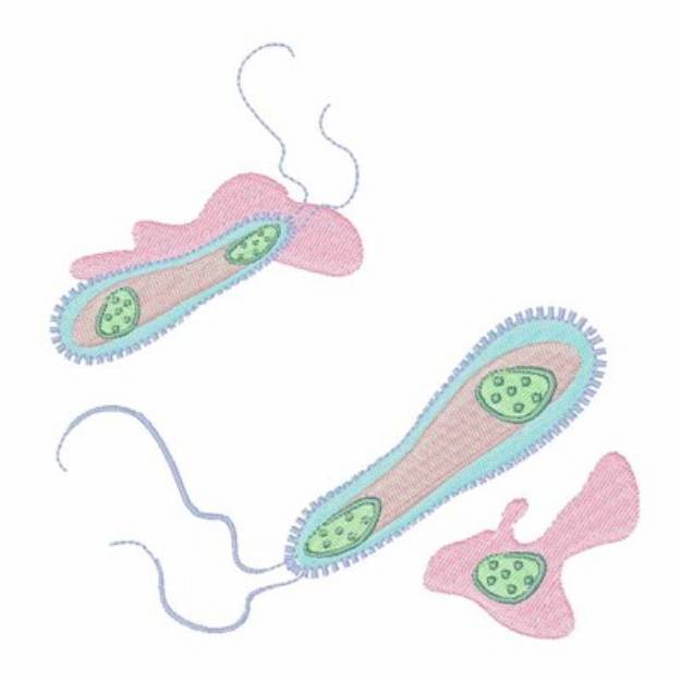 Picture of Microscopic Cells Machine Embroidery Design
