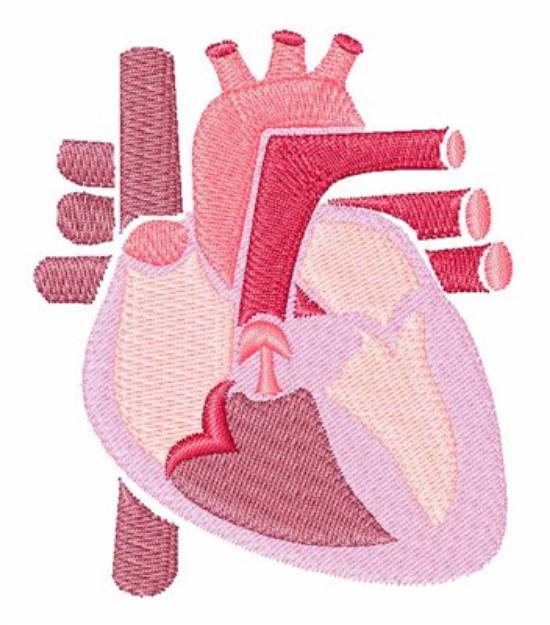 Picture of Human Heart Machine Embroidery Design