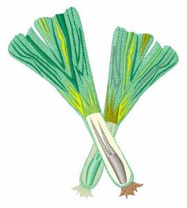 Picture of Leeks  Machine Embroidery Design