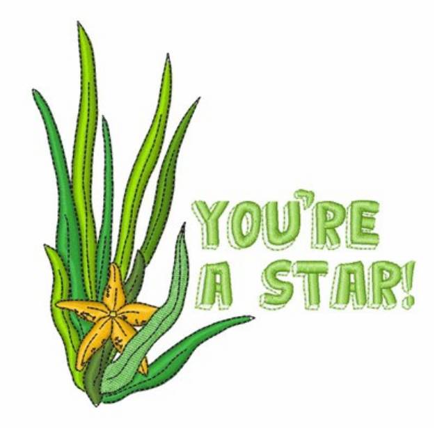 Picture of Youre A Star! Machine Embroidery Design