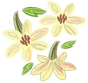 Picture of Cream Flowers Machine Embroidery Design