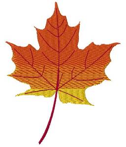 Picture of Autumn Maple Leaf Machine Embroidery Design