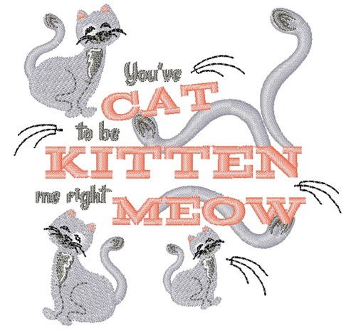Cat You ve Cat To Be Kitten Me Right Meow Machine Embroidery Design
