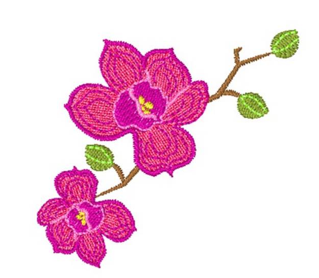Picture of Orchids Machine Embroidery Design