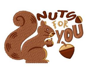 Picture of Nuts For You