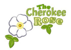 Picture of The Cherokee Rose