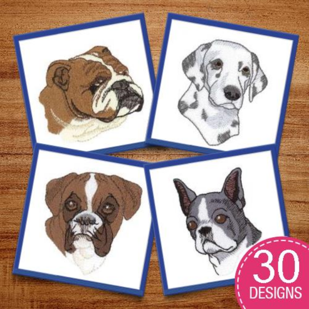 Picture of Dog & Cat Pack #3 Embroidery Design Pack