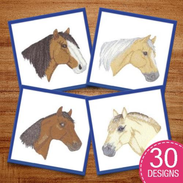 Picture of Horse & Western Pack #8 Embroidery Design Pack