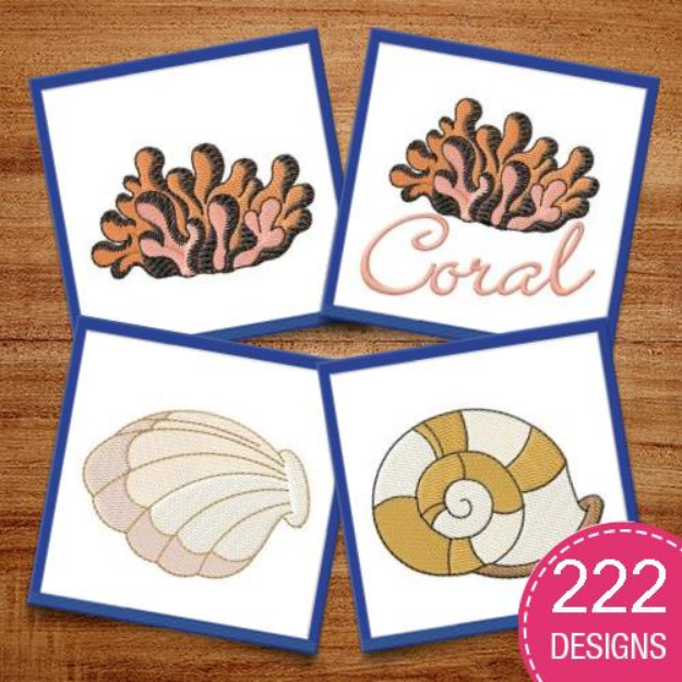 Picture of Seashell MegaPack Embroidery Design Pack