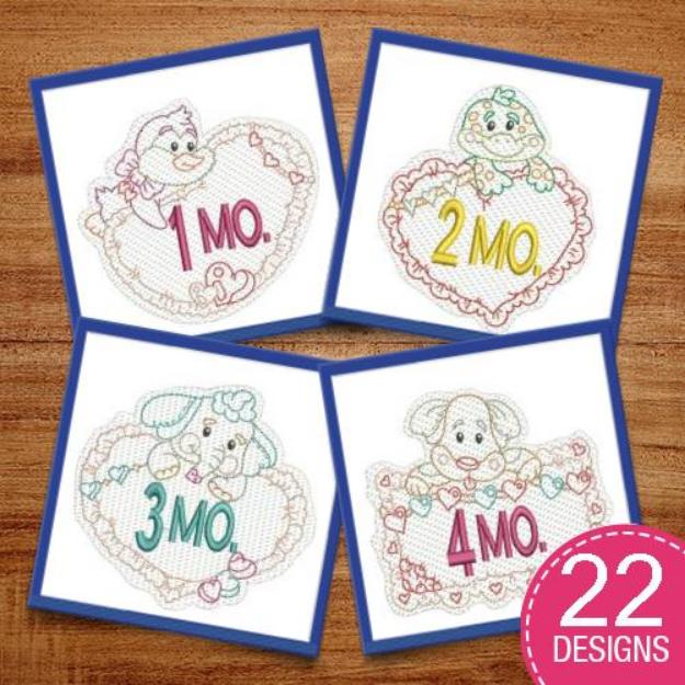 Picture of Baby Monthly Milestones Embroidery Design Pack