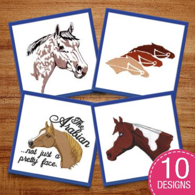 Picture of Horses & Captions Embroidery Design Pack