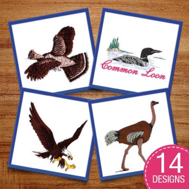 Picture of Realistic Wildlife Birds Embroidery Design Pack