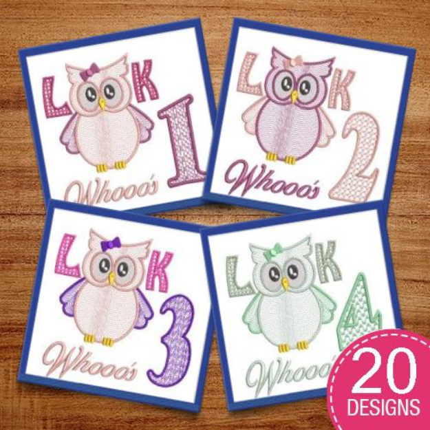 Picture of Boy/Girl Birthday Milestones Embroidery Design Pack