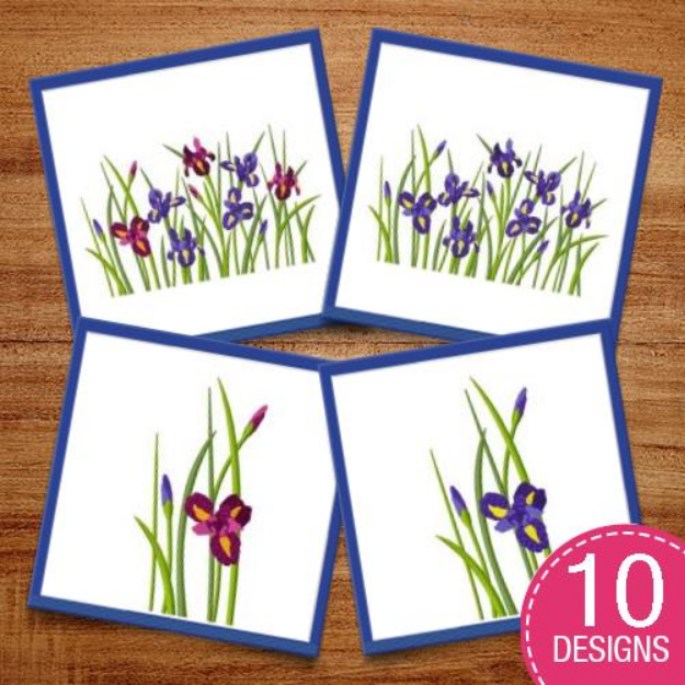 Picture of Realistic Irises Embroidery Design Pack