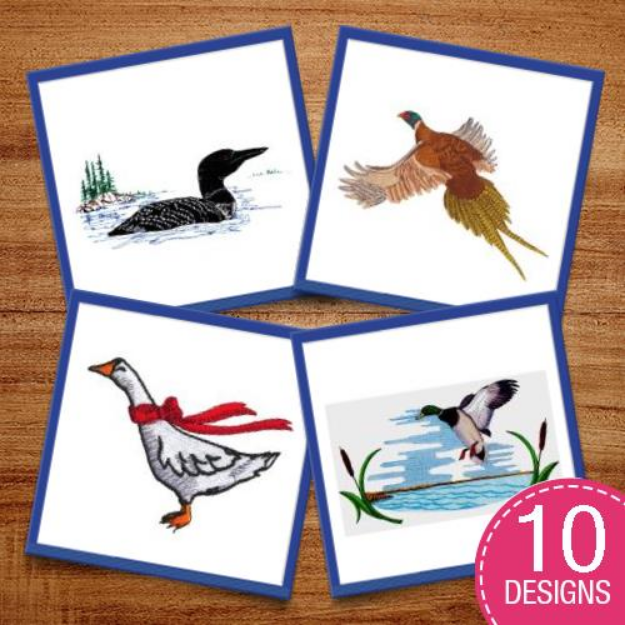 Picture of Birds In Flights Embroidery Design Pack