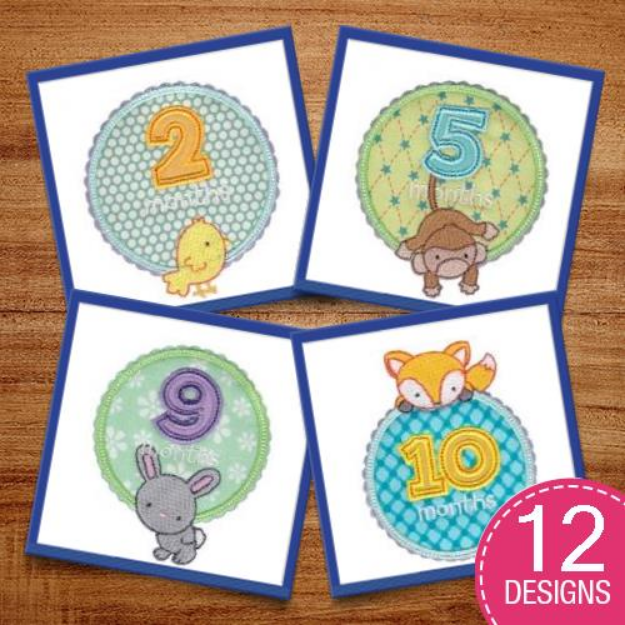 Picture of Baby Months Applique Embroidery Design Pack