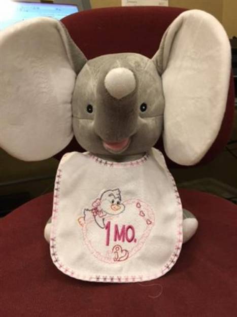 Picture of How to Embellish a Premade Baby Bib to Make a Baby Monthly Milestone Bib