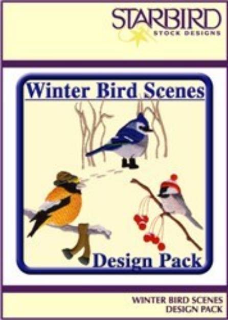 Picture of Winter Bird Scenes Embroidery Collection