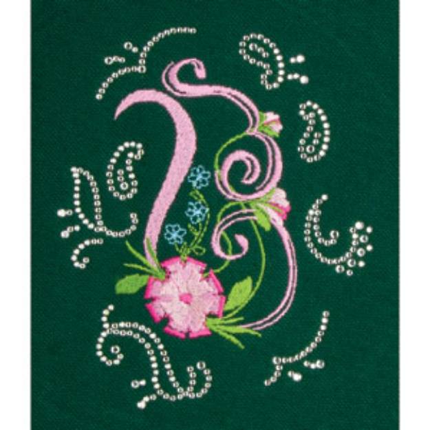 Picture of Paisley Embroidery Designs CD