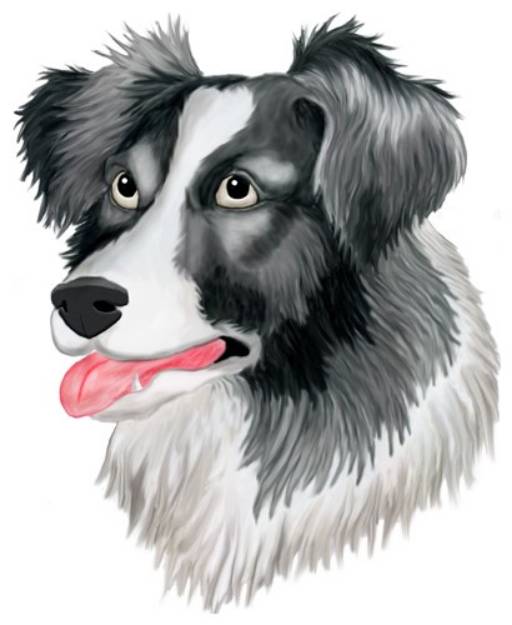 Picture of Border Collie SVG File
